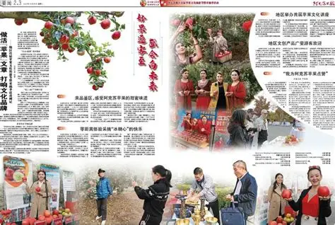 菠萝文化故事分类